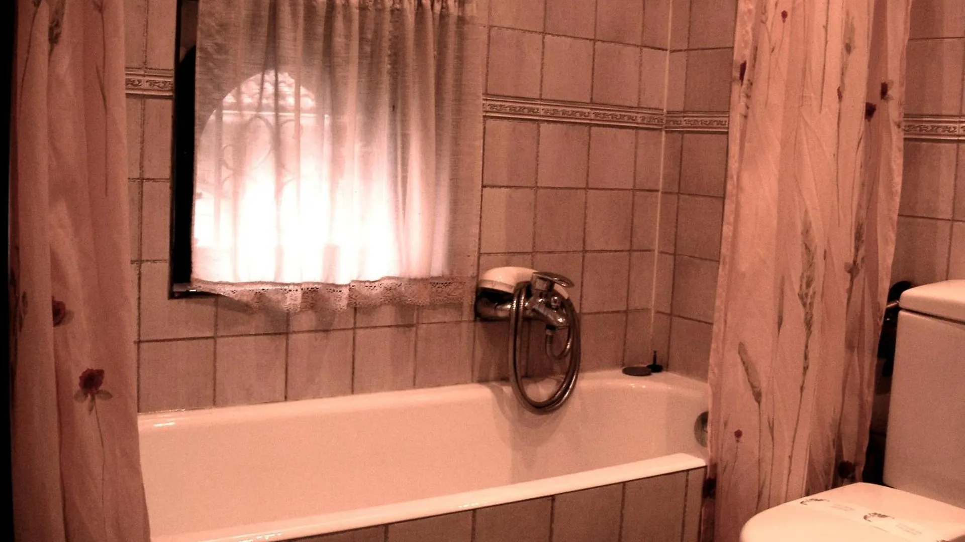 Hotel Mauleon Legazpia